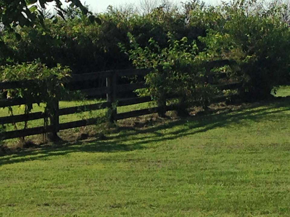 Farm row cleaned out