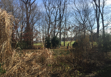 Flower Bed Weeding