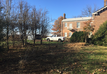 Flower Bed Weeding
