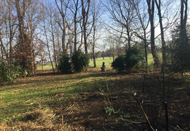Flower Bed Weeding