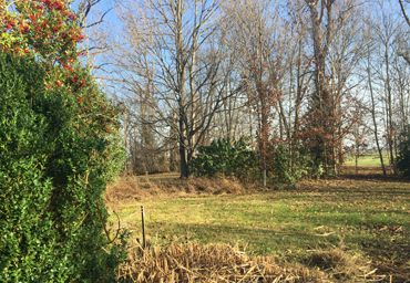 Flower Bed Weeding