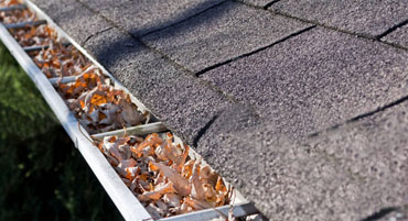 Gutter Cleaning