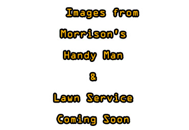Image Coming Soon