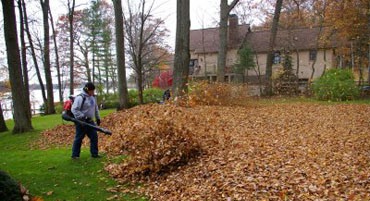 Leaf Blowing