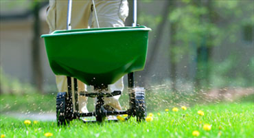 Over Seeding