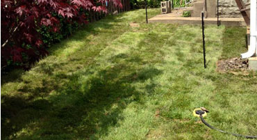 Laying Sod