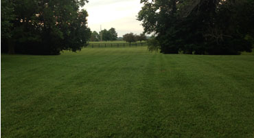 Farm Mowing
