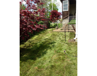 Sod Laying